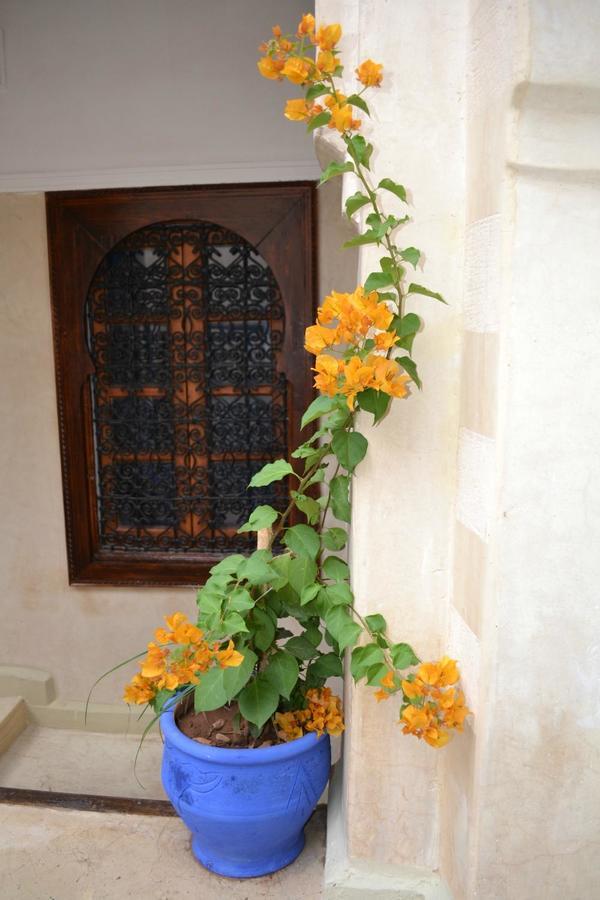 Riad Riva มาร์ราเกช ภายนอก รูปภาพ